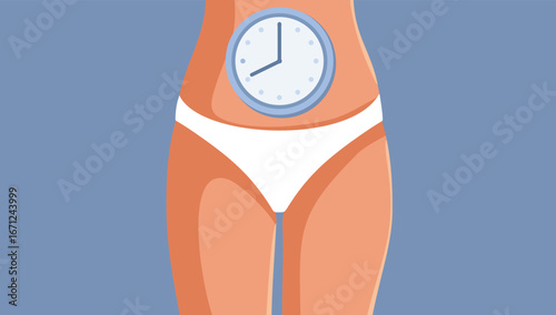 Conceptual Vector Drawing About Biological Clock of Women. Feminine cycle changes during peri menopause
