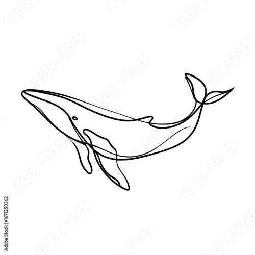 A graceful line drawing showcases a whale gliding effortlessly through the ocean, capturing its majesty and fluid movement in a simple yet captivating design.