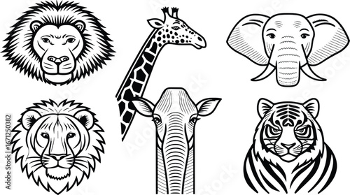 Six majestic wildlife animal portraits lion elephant giraffe zebra tiger sketch artistry
