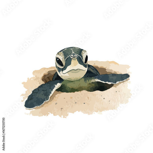 Adorable Sea Turtle Emerging from Sandy Nest with Curious Expression