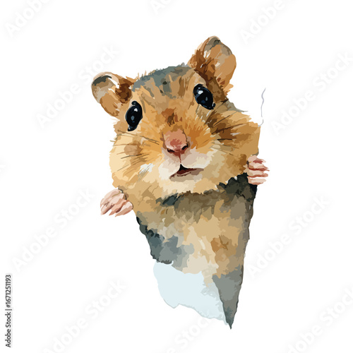 Curious Hamster Peeking Over a Corner with Expressive Eyes and Paws