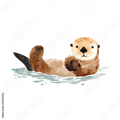 Playful Sea Otter Floating on Back with Detailed Fur and Water