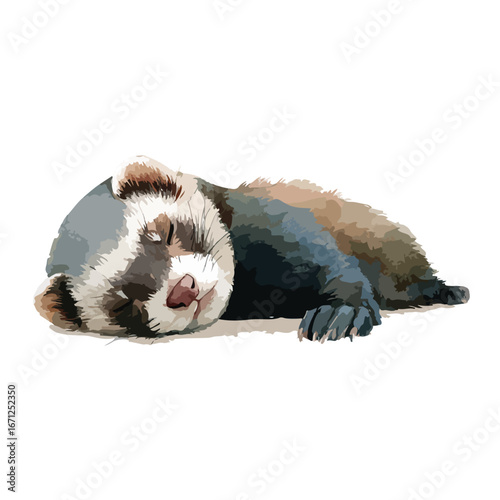 Sleeping ferret with closed eyes and visible pink nose in a relaxed pose