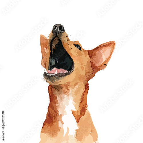 UpwardFacing Basenji Dog with Open Mouth and Alert Expression