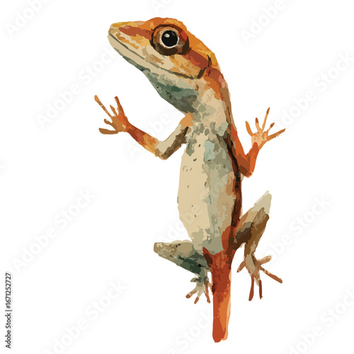 UpwardGazing Orange Anole Lizard with Extended Toes and Watercolor Texture