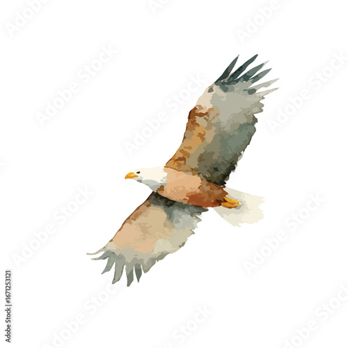Watercolor Bald Eagle Soaring with Powerful Wings and Focused Gaze