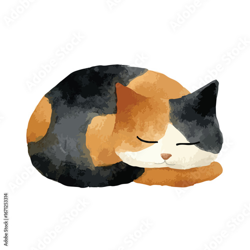 Watercolor Calico Cat Curled Up Asleep Showing Soft Fur and Closed Eyes
