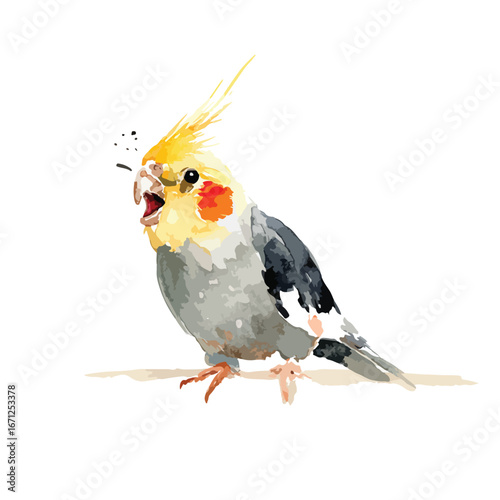 Watercolor Cockatiel with Open Beak and Spitting Action Detailed Illustration