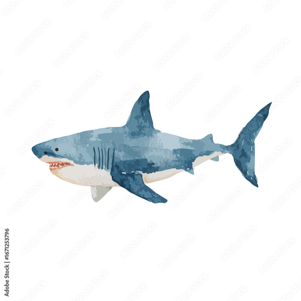 Fototapeta premium Watercolor Great White Shark with Visible Teeth Swimming Horizontally