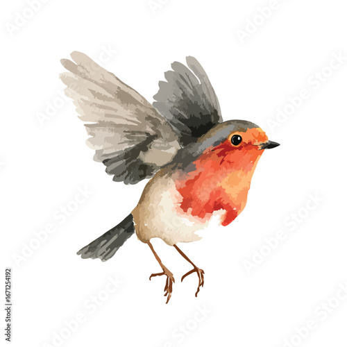 Watercolor Illustration of a Robin in Flight