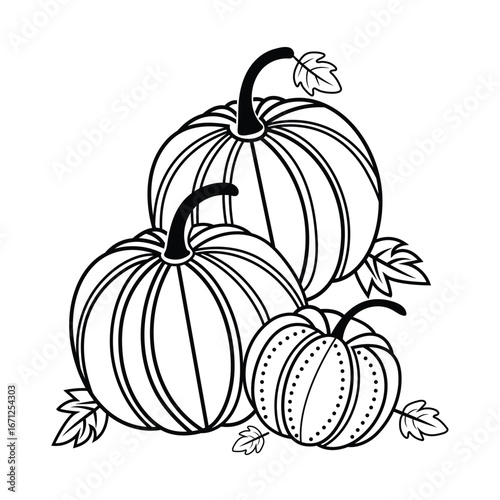 Pumpkin Harvest Line Art Vector Illustration.