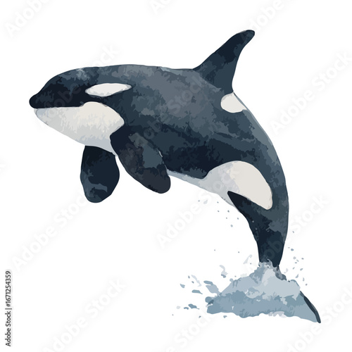 Watercolor Killer Whale Leaping Out of the Ocean with Splash