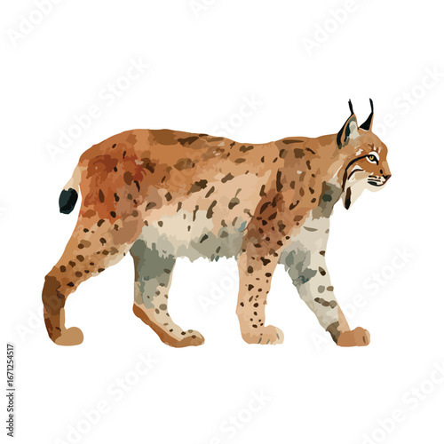 Watercolor Lynx Profile A Detailed Depiction of a Wild Cat