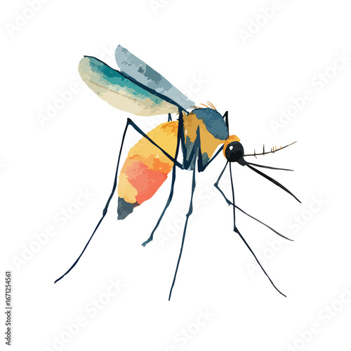 Watercolor mosquito with long legs and patterned wings in a side view