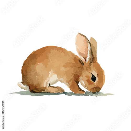 Watercolor Rendering of a Brown Bunny Side Profile Gentle Pose