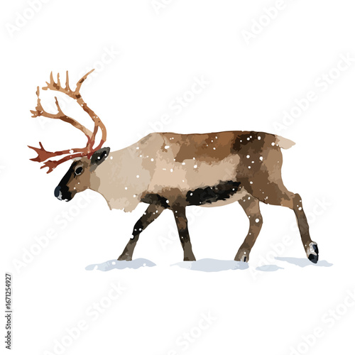 Watercolor Reindeer Walking Through Snowfall Detailed Antlers and Fur