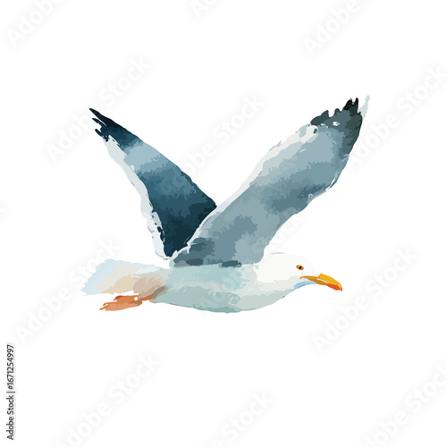 Watercolor Seagull in Flight Dynamic Pose Blue Hues