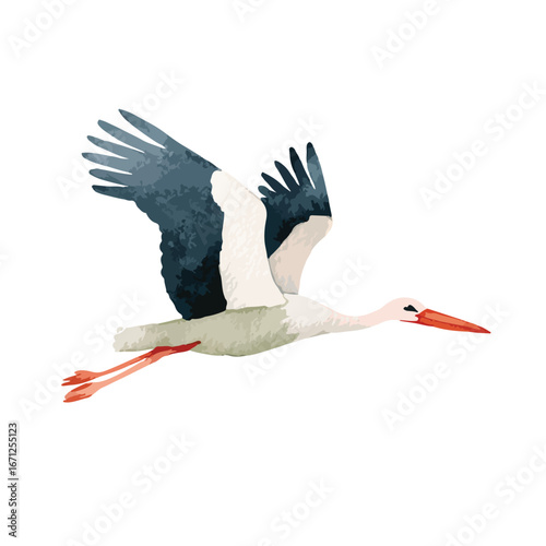 Watercolor Stork in Flight with Red Beak and Legs Textured Wings
