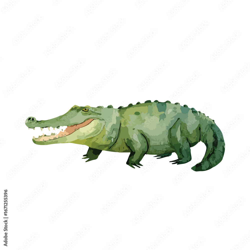 Fototapeta premium Watercolor Style Green Crocodile Illustration Side Profile Open Mouth