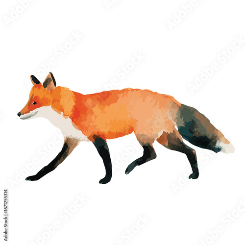 Watercolor Style Fox Striding with Black Legs and Orange Fur