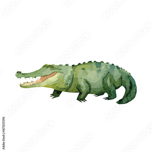 Watercolor Style Green Crocodile Illustration Side Profile Open Mouth