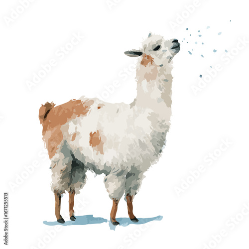 Watercolor Style Llama Spitting with Head Raised and Brown Patch on Side