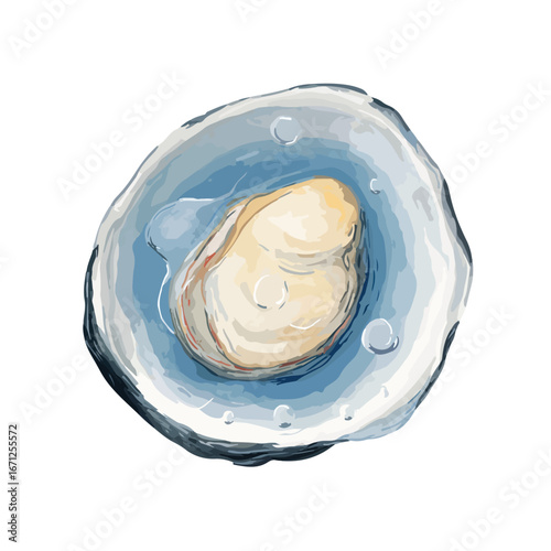 Watercolor style oyster on the half shell with water droplets