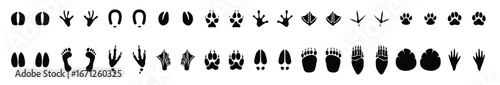 Wild life footprint tracks. Animals and birds paws prints, black silhouettes traces, hunters. Animal Footprints Line Icons Set, Editable Stroke
Animal Paw Print Icon Set, vector illustration