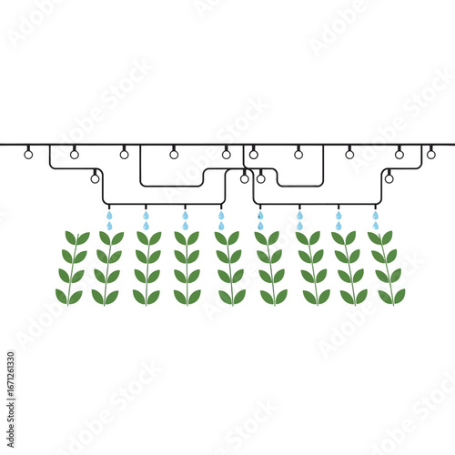 Precision drip irrigation system efficiently waters rows of lush green plants, symbolizing sustainable agriculture and smart farming techniques for optimal growth and resource conservation.