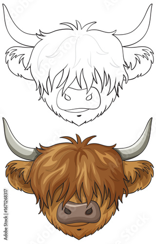 Scottish Highland Cow Vector Head Illustration