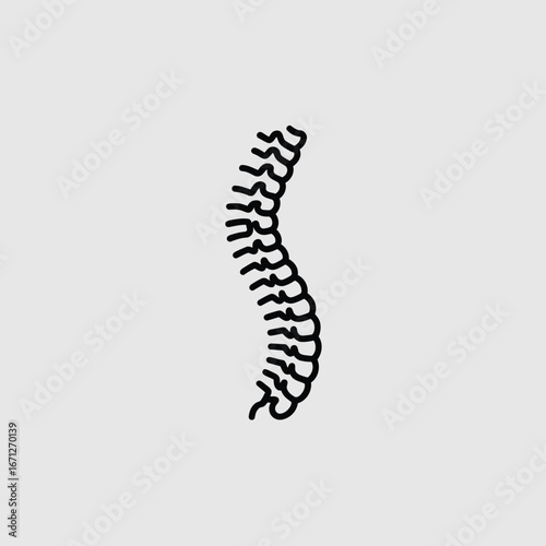 Black line art illustration of human vertebral column spine human anatomy