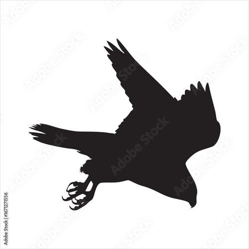 Vector art of silhouette of a falcon in flight, a powerful predator bird with sharp talons, , showcasing its speed and freedom in nature