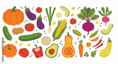 Fresh organic vegetables vector illustration healthy food harvest season