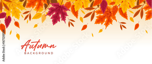 Bright autumn background with colorful fall leaves, maple, and oak branches. Perfect seasonal vector design and illustration for banners, wallpapers, Thanksgiving, and nature-themed projects.