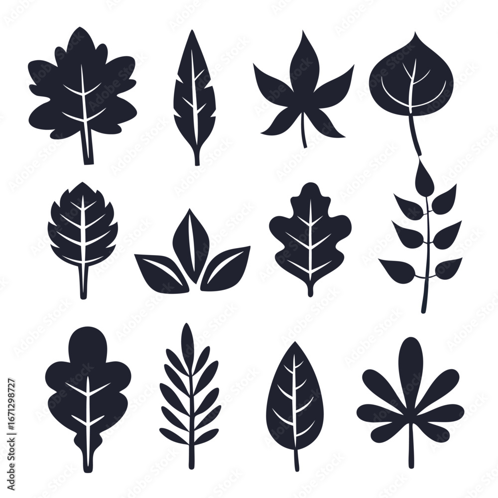 Obraz premium Isolated dark silhouettes showcase an assortment of different leaf shapes and unique botanical features
