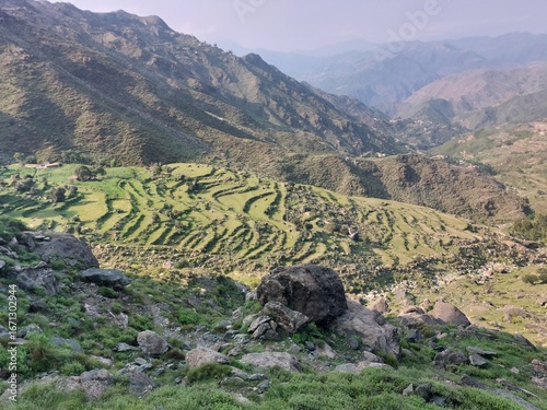 Morning in the mountains: a green valley with a view of a high peak, a summer landscape with clouds, and trees covering the rolling hills in shabqadar yousaf baba
