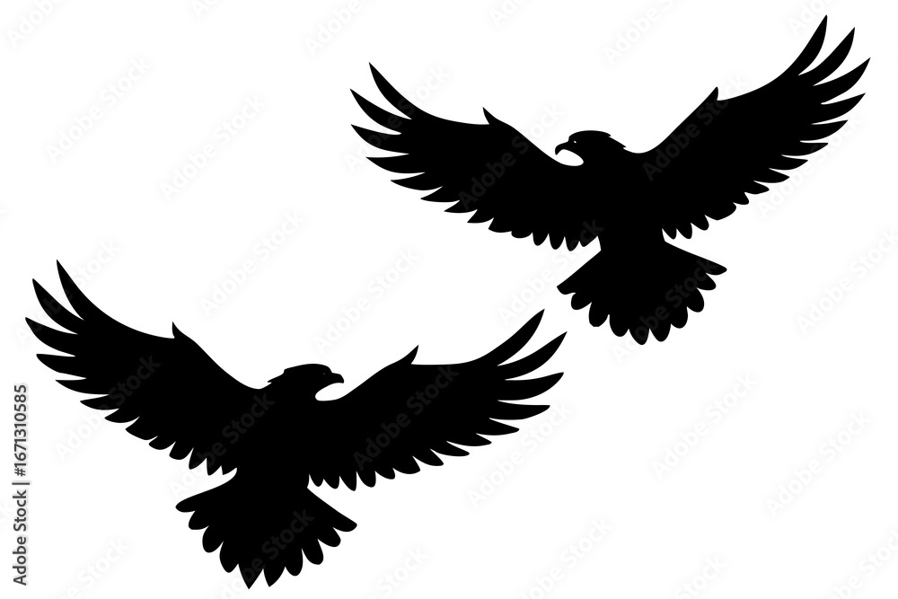 Fototapeta premium Eagle flying high silhouette vector