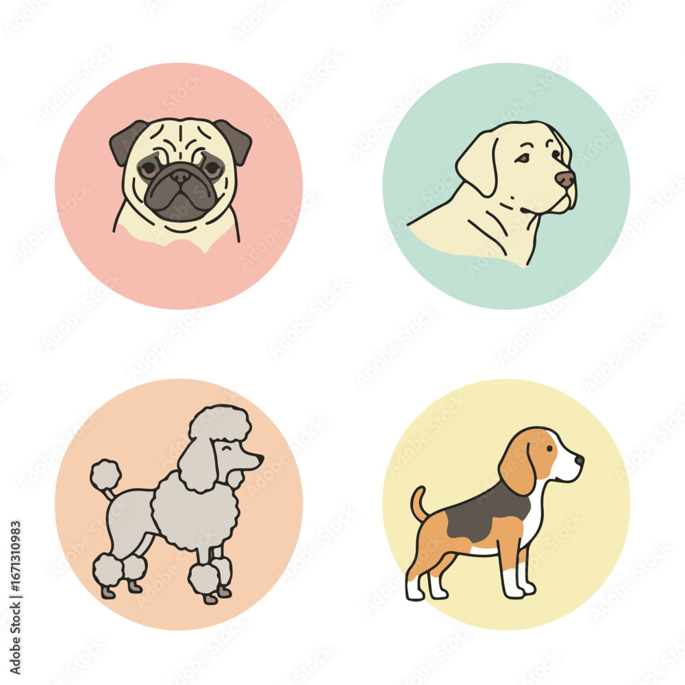 Obraz premium Breed Portraits