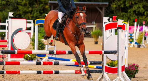 Fotografia Horse, show jumper jumping over an obstacle.