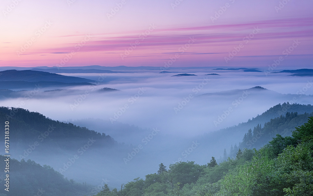 Obraz premium Misty mountain valley at sunrise with purple and pink sky