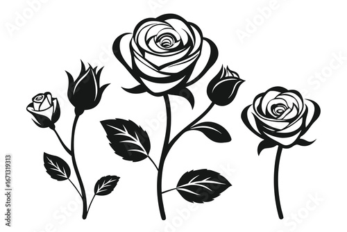 Elegant Rose Silhouette Art with Buds and Leaves on White Background