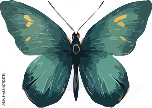 Butterfly vector art