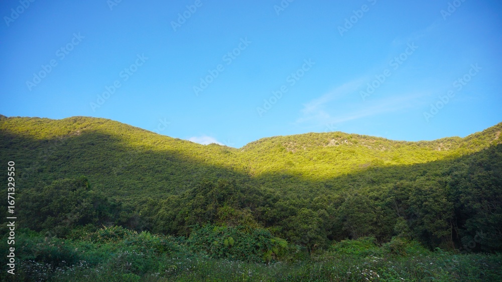 Naklejka premium Scenic view of Mount Papandayan covered with lush green forest under a bright blue sky
