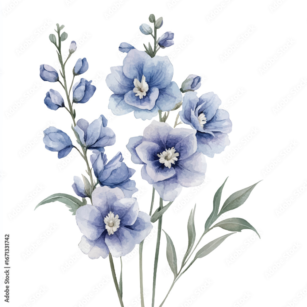 Fototapeta premium a cute Delphinium flower
