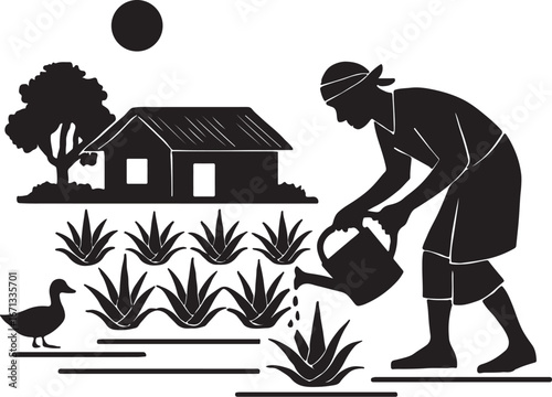 Farmers are cultivating aloe vera in rural areas.  এলোভেরা চাষাবাদ