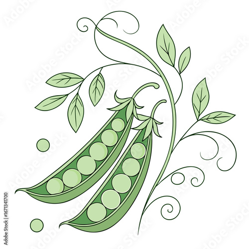 Fresh pea pods with green peas and leaves on a white background