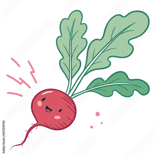 Fresh radish with green leaves on a white background