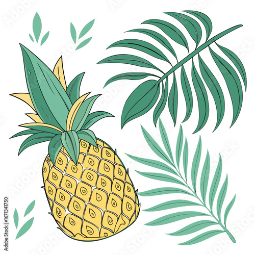 Fresh pineapple with tropical leaves on a white background