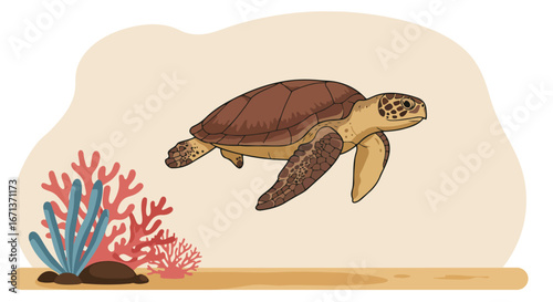 Sea turtle swims by coral