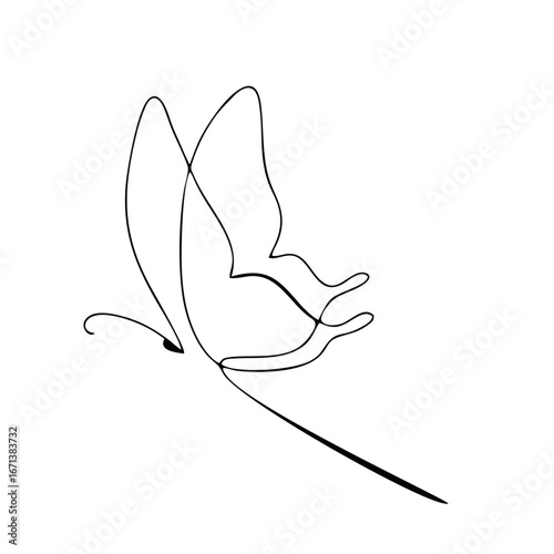 butterfly vector lineart illustration. One Line style drawing